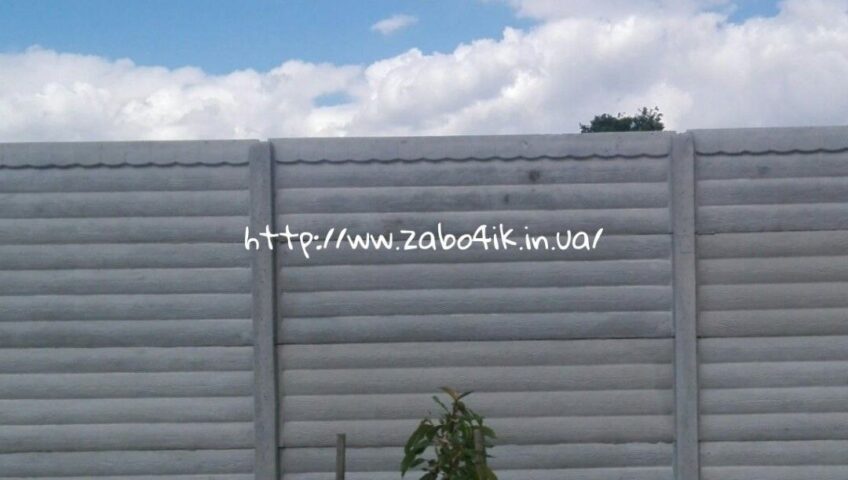 brevno-buk-s-verkhushkoy-kiev.jpg